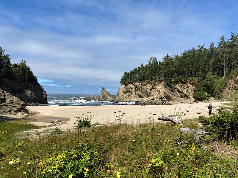 Small beach with forested bluffs on either side, and surf.
