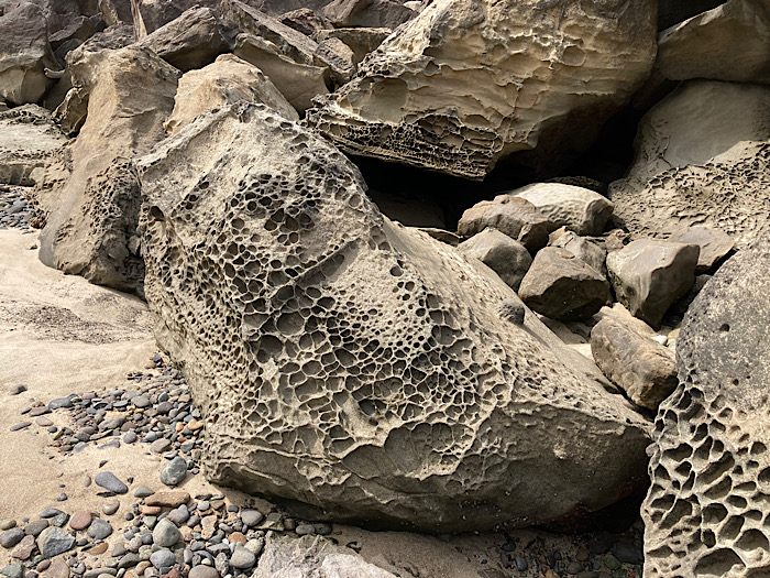 Boulder on a sand beach, covered in a network of holes to make a honeycomb like pattern.