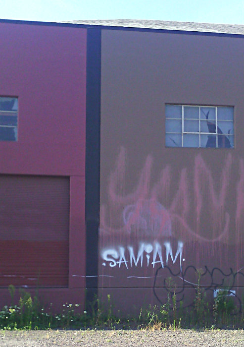 graffiti on wall: "sam-i-am"