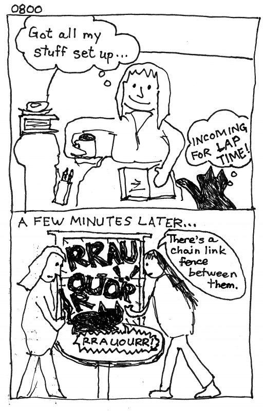 sharpie comics. Panel 1, woman with food, coffee, books on couch, with cat approaching thinking "Incoming for LAP TIME!" Panel 2, 2 women and cat looking out the window where cats are growling. "There's a chain link fence between them."