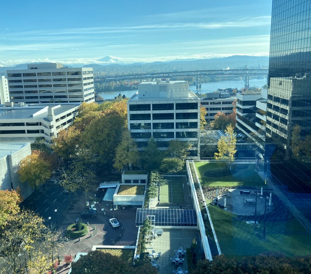 view of buildings, autumn trees, river from 9th floor