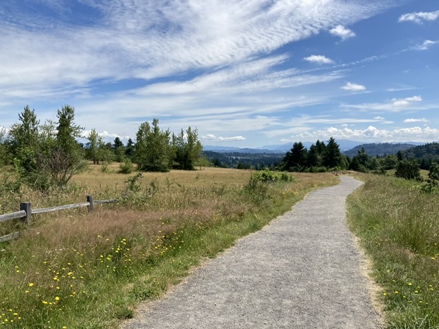 Sunny meadow with gravel road, blue sky, clouds, hills in distance