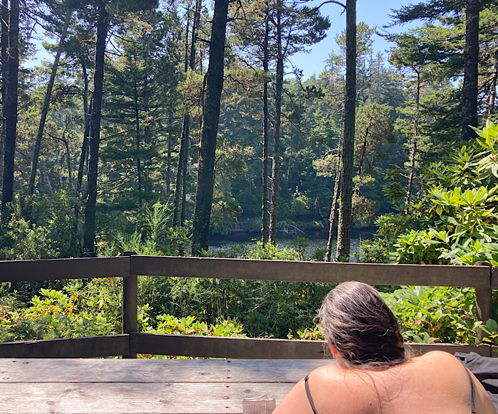 Looking over a woman's shoulder at a fence and, beyond it, a forested lake.