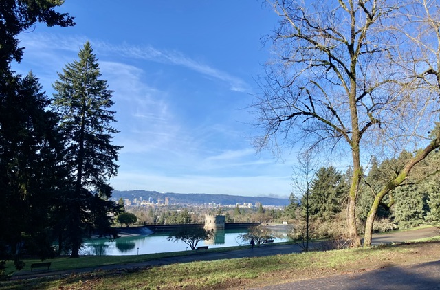 reservoir with cityscape beyond; sunny parklike setting with blue sky, evergreens, Barr trees