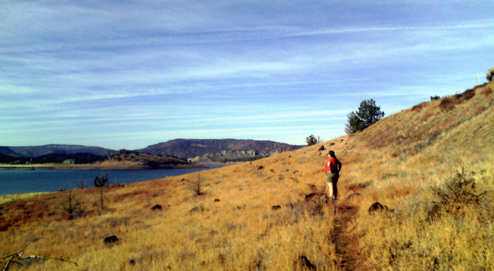 Sanguinity on a grassy hillside overlooking Prineville Reservoir