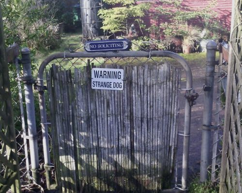 gate with posted signs: "no soliciting" and "warning: strange dog"