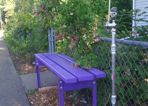 bus stop with homemade purple bench, water fountain, and raspberry canes