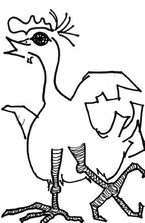 ink drawing of a chicken with scaly legs