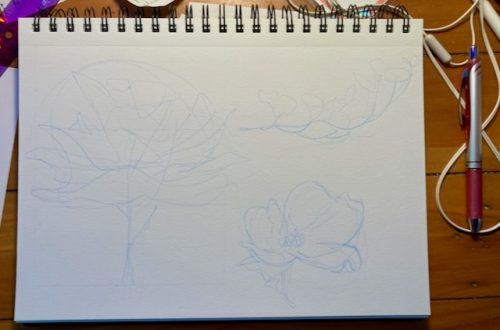 page of a spiral-bound sketchbook sitting on a wooden desk. It shows a light sketch in blue pencil of a dogwood tree, flowering bough, and individual blossom.