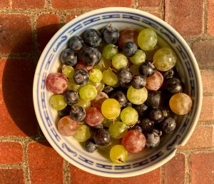 a small bowl of green, red, and dark purple grapes