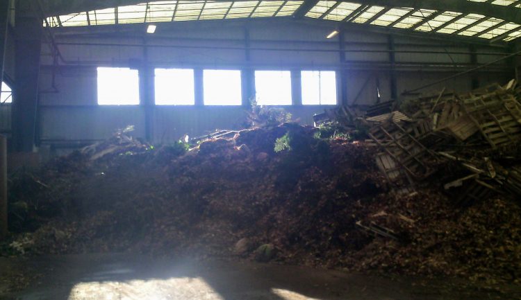 A large pile of pallets and tree limbs in a sunlit warehouse